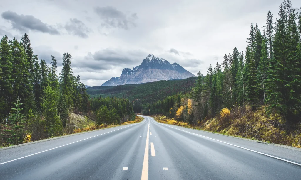 Loyalty Engagement Is Flatlining, Here’s How Travel Benefits Bring It Back to Life