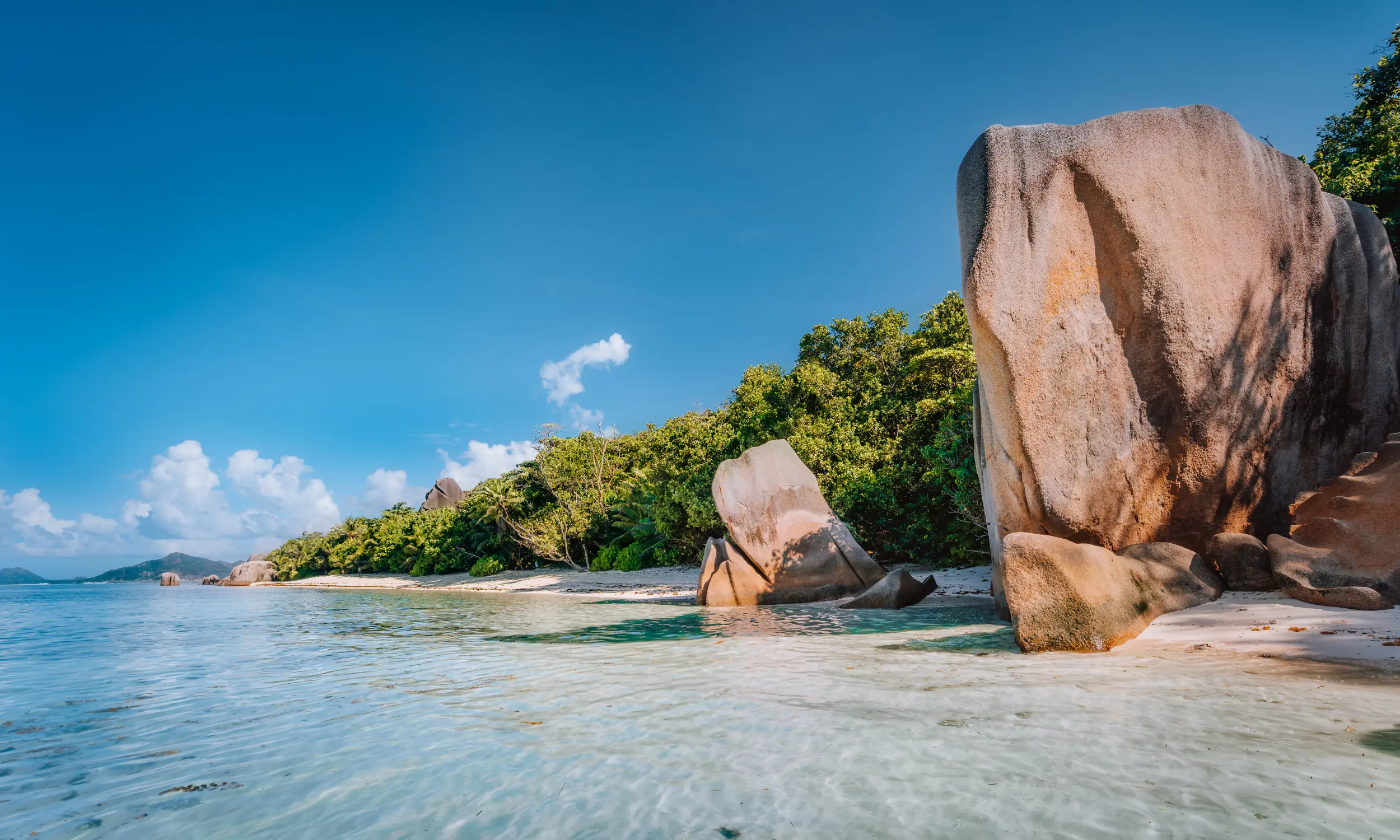 Beyond Luxury: Why Purpose-Driven Travel Is Redefining What “Premium” Means