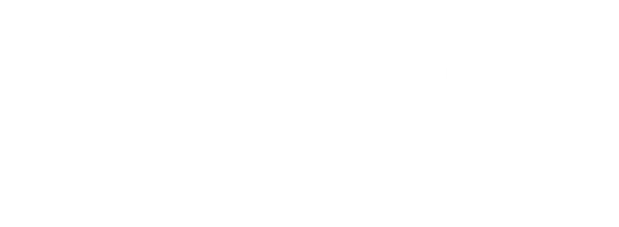 Custom Travel Solutions Logo