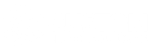 Custom Travel Solutions