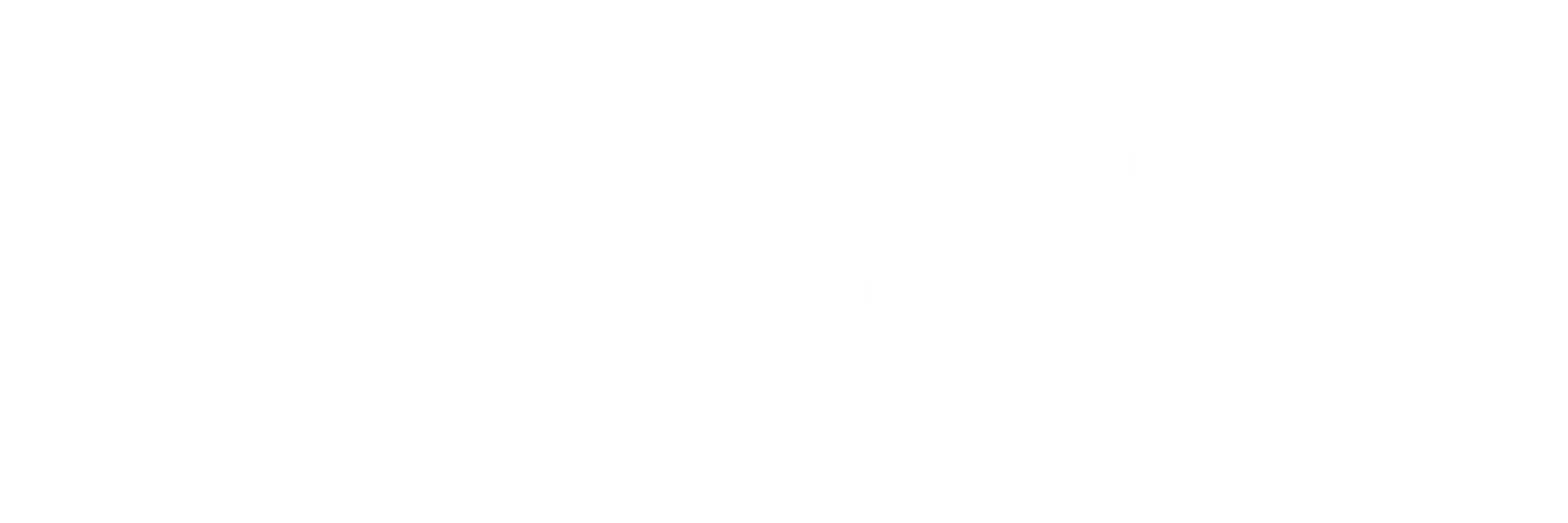 Custom Travel Solutions Logo